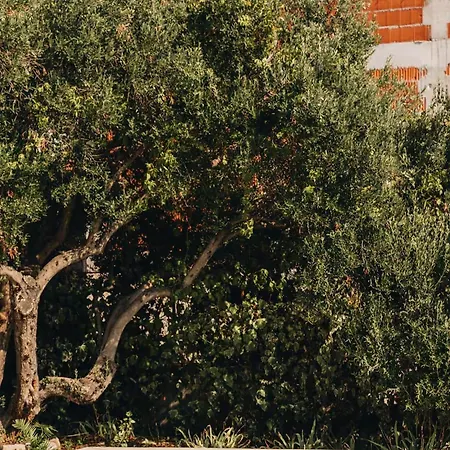 Deluxe Marghareta - Three Bedroom With Sea View And Terrace Dubrovnik